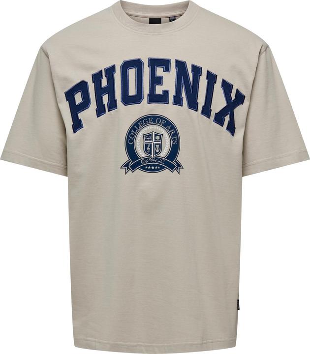 Only & Sons Onslawson Life Rlx Varisty Ss Tee (L)