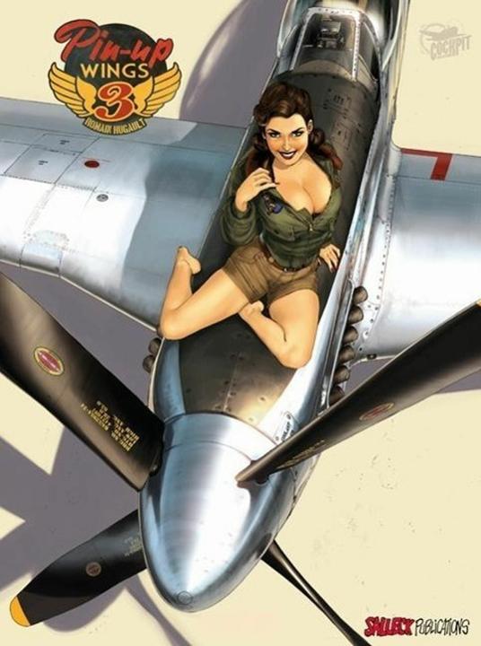 Image du produit Pin-up Wings 3 (Allemand, Romain Hugault Hugault, 2014)