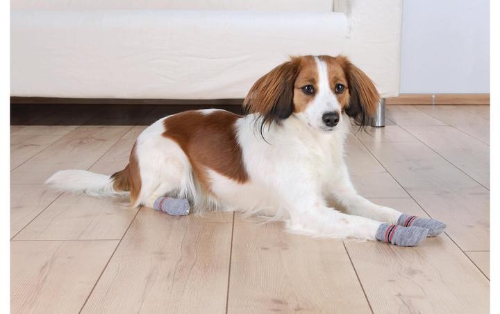 Immagine prodotto Trixie Calze per cani (M, L, Calzini per cani)