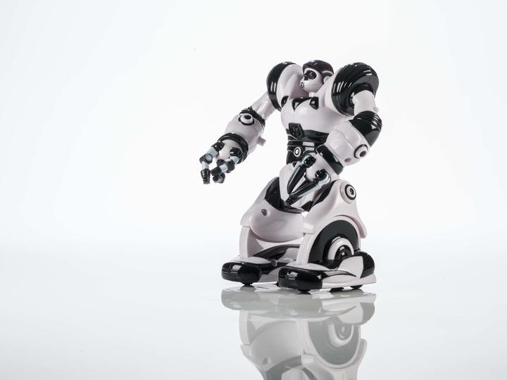Actual product image WowWee Robot Mini Robosapien