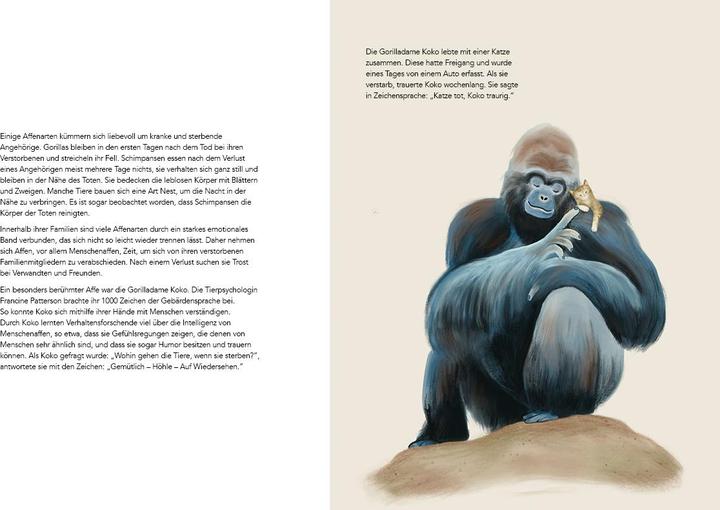 Actual product image Jumbo Wie Tiere trauern (German, Hanna Mller, Carla Swiderski, 2022)