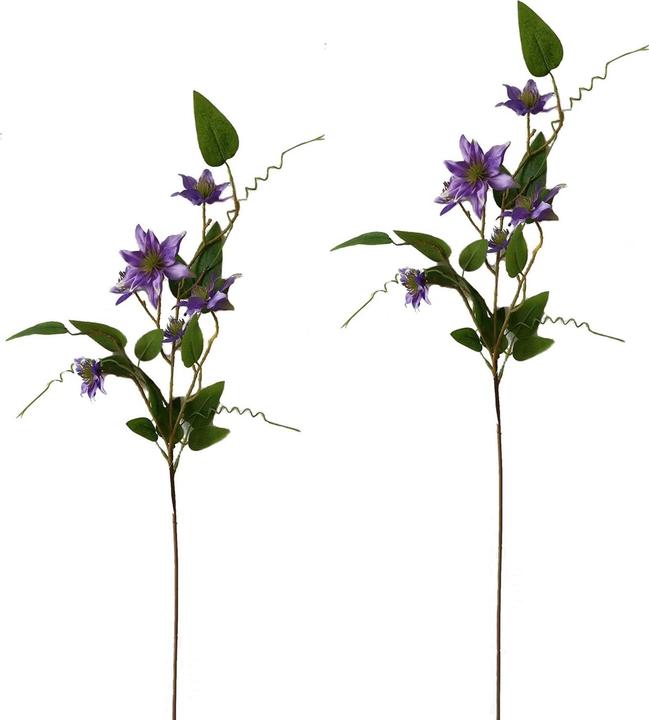 Produktbild NTK-Collection Clematis Lila 2er Set 89 cm (89 cm)
