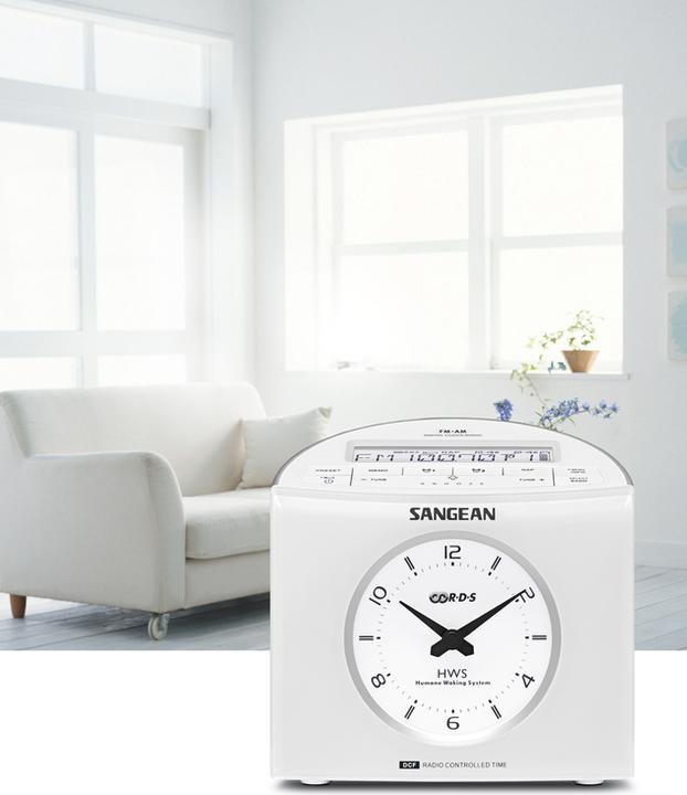 Produktbild Sangean Rcr-9