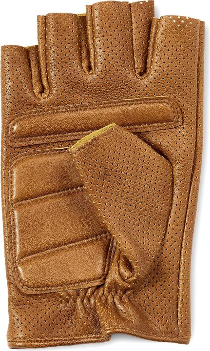 Image du produit Fawler Forma (M)