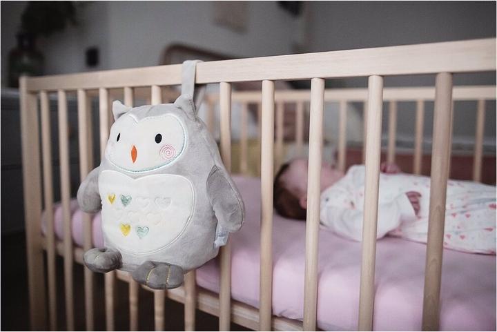 Actual product image Tommee Tippee Ollie the Owl