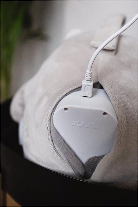 Actual product image Tommee Tippee Ollie the Owl