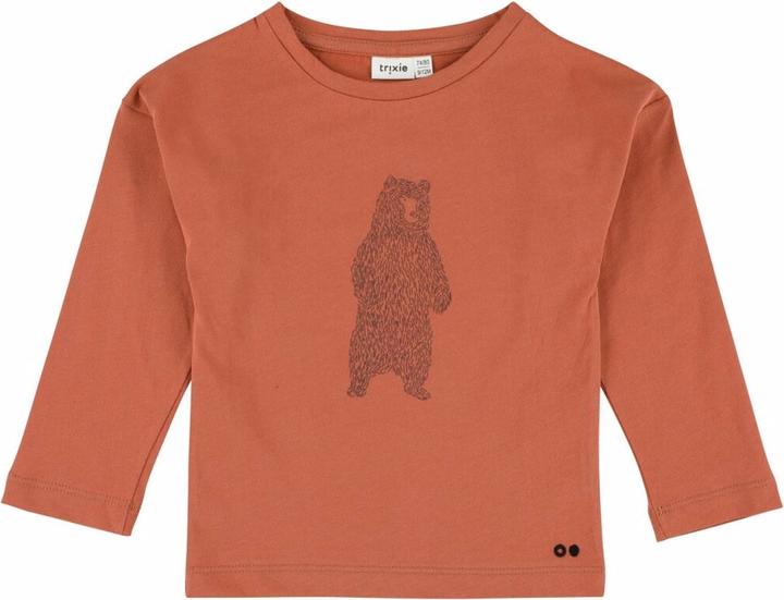 Orso coraggioso