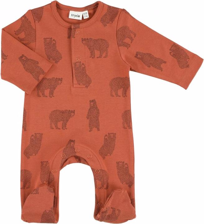 Orso coraggioso
