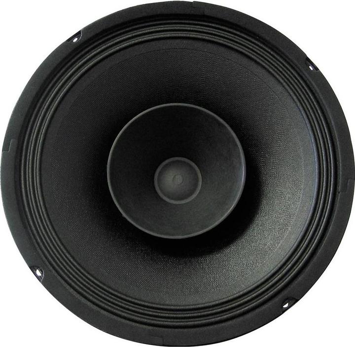 Actual product image Rockwood BLANKO PA Bass Fullrange 250 mm Guitar Speaker