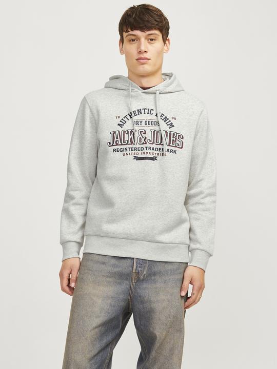 Actual product image Jack & Jones JJELOGO SWEAT HOOD 2 COL 24/25 NOOS (XL)