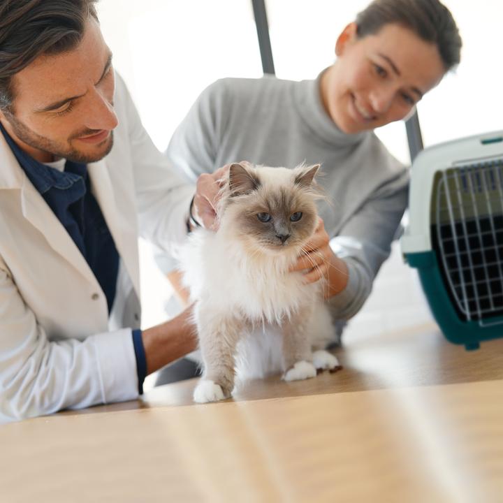 Immagine prodotto Relaxdays Trasportino per animali domestici