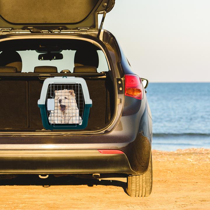 Immagine prodotto Relaxdays Trasportino per animali domestici
