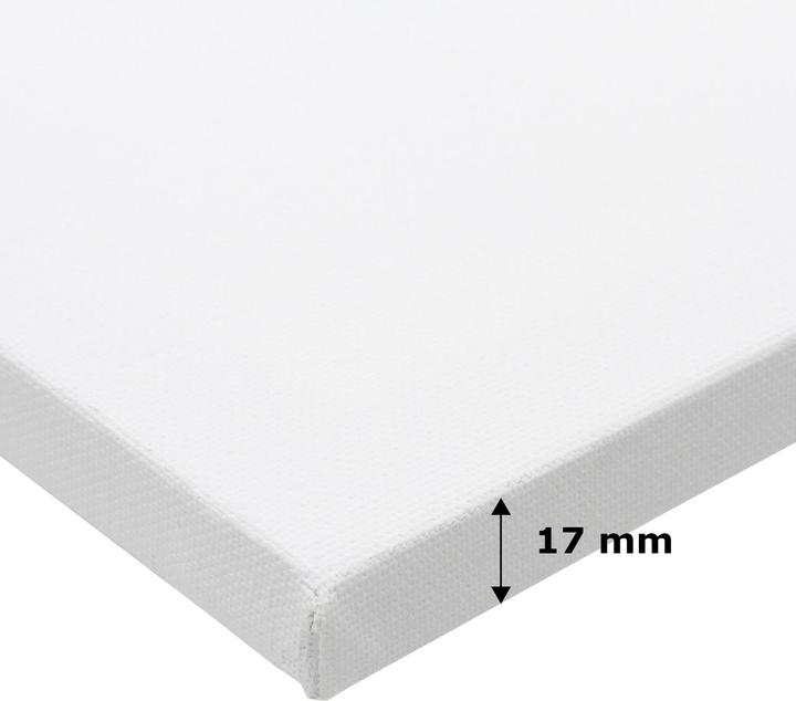 Immagine prodotto Paintersisters Barella Eco 20x20 20s (20 x 20 cm)