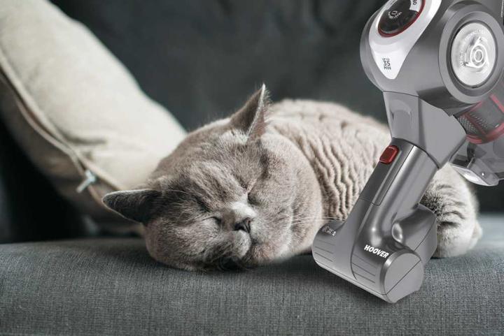 Productafbeelding Hoover RA22SE 011 Bagless,, Titanium