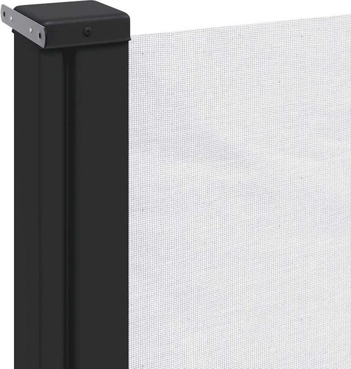 Actual product image VidaXL Extendable side awning (1.17 m)