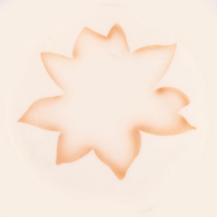 Image du produit Martellato Pochoir Airbrush Fleur de lotus