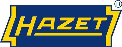 Actual product image HAZET Steckschlüsseleinsatz (10 mm)