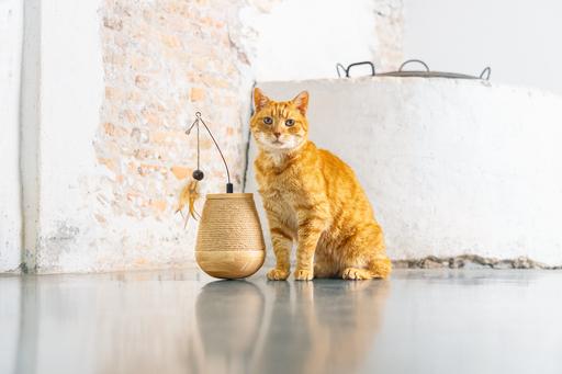 Actual product image Designed by Lotte Tumble Mae (Catmint toy)