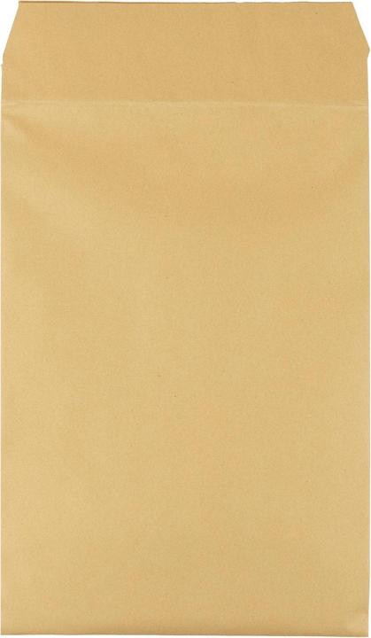 Actual product image Antalis Padded paper envelope B4, 100 pieces (100 x)