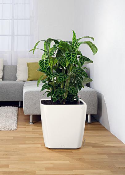 Produktbild Lechuza Quadro LS (35.50 cm)