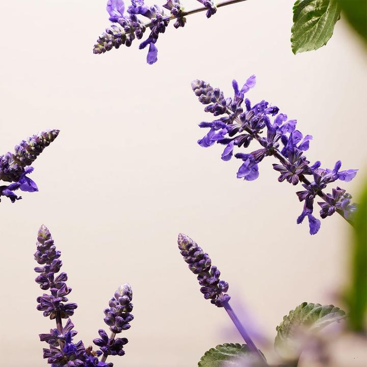 Image du produit Rituals Cliskica (50 ml, Crème de jour)