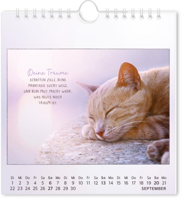 Produktbild Postkartenkalender 2026 Traumtage (16 x 17 cm, Deutsch)