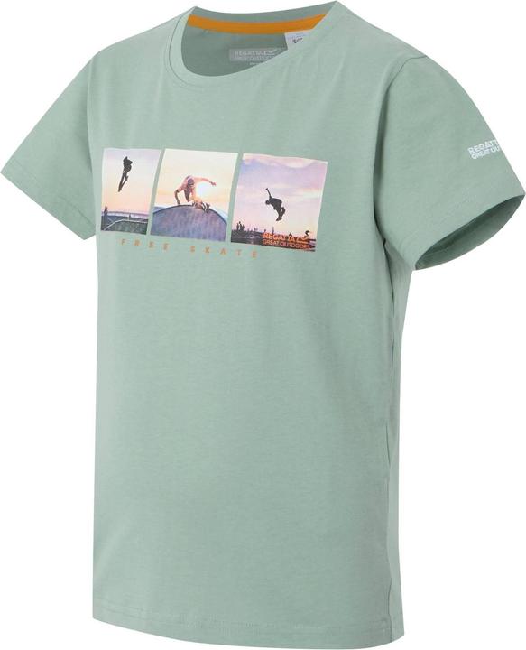Actual product image Regatta Childrens/Kids Bosley VIII Graphic Print T-Shirt (146, 152)