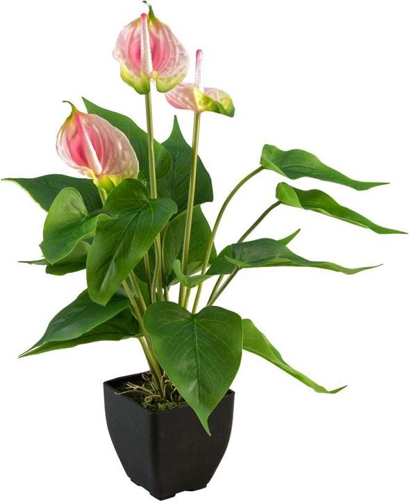 Actual product image Europalms Anthurium, artificial plant, white pink