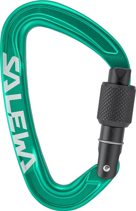 Image du produit Salewa Ortles Screw Carabiner