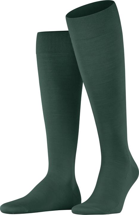 Falke Clima Wool