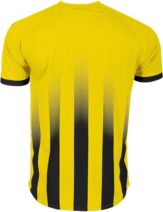 Actual product image Stanno Vivid jersey (L)