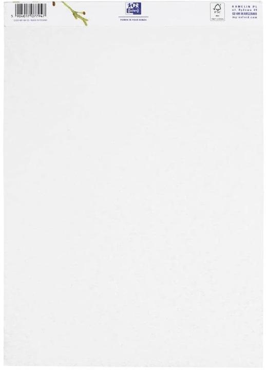 Image du produit Oxford Bloc Mixed Media (A4, Blanc, Couverture souple)