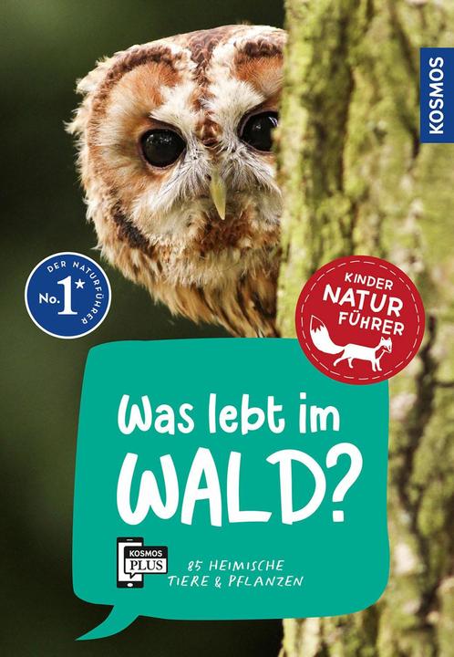 Produktbild Kosmos Was lebt im Wald? Kindernaturführer (Deutsch, Holger Haag, 2024)