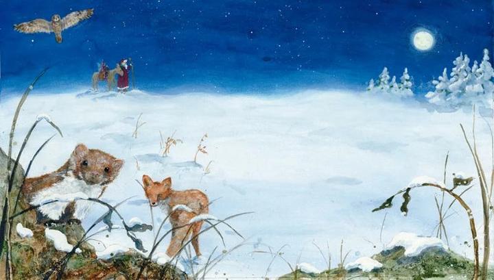 Produktbild Die kleine Elfe feiert Weihnachten (Deutsch, Daniela Drescher, 2017)