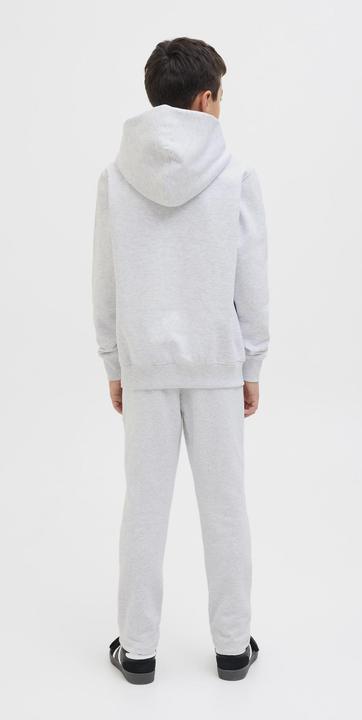 Produktbild Jack & Jones Jjeurban Edge Sweat Hood Noos Jnr (176)