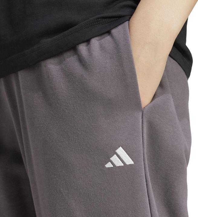 Actual product image adidas Essentials Small Logo French Terry (M)