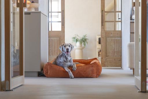 Actual product image Designed by Lotte Liegebett Ribbed (Dog)