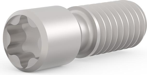 Image du produit Schroff VIS SANS TÊTE M2,5X9 T8 100PCS