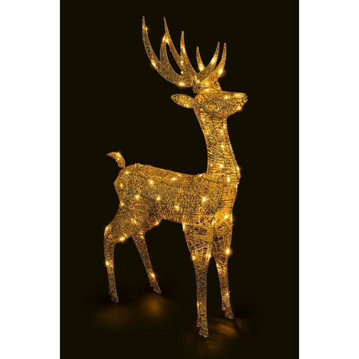 Actual product image STT Floki