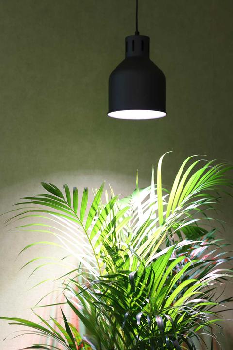 Immagine prodotto Venso Cresce l'inverno leggero (LED, 245 V)