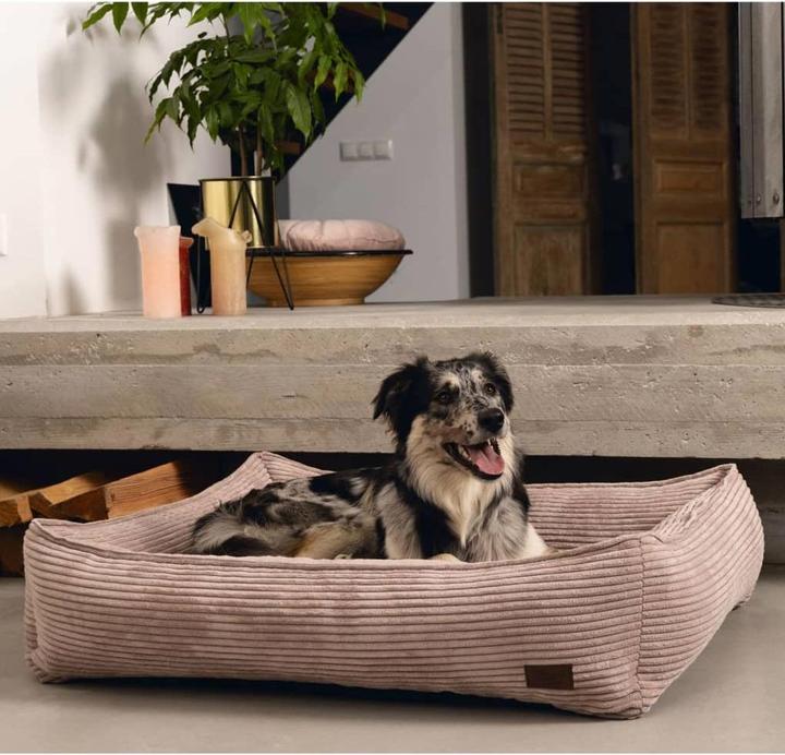 Image du produit Designed by Lotte Ribbed (Chien)