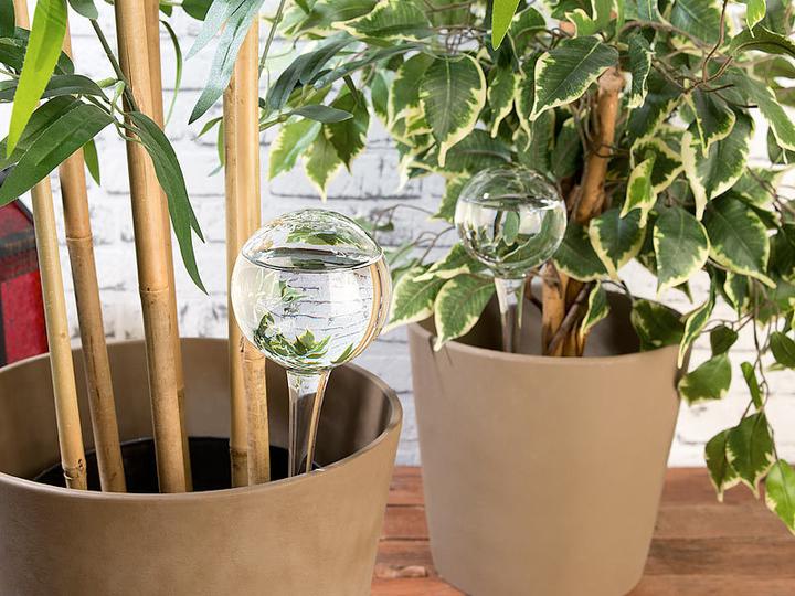 Immagine prodotto Royal Gardineer Set di 2 Palline per innaffiare senza acqua in vetro, trasparenti, Ø 8,5 cm (Palline per l'irrigazione)