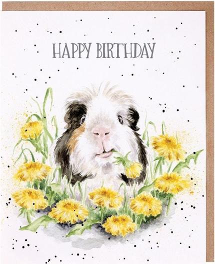 Produktbild Wrendale Design Geburtstagskarte - Meerschweinchen HAPPY BIRTHDAY Wrendale Designs (1 Stk.)