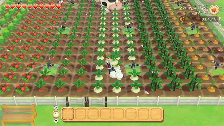 Actual product image Natsume Story of Seasons: Pioneers of Olive Town (Switch, Switch Lite, Switch OLED, EN)