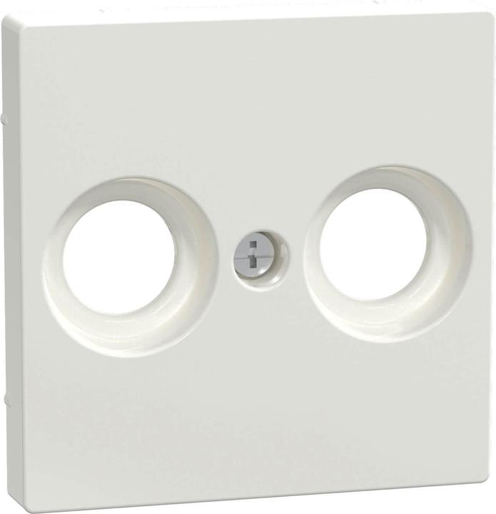 Produktbild Merten Zentralplatte