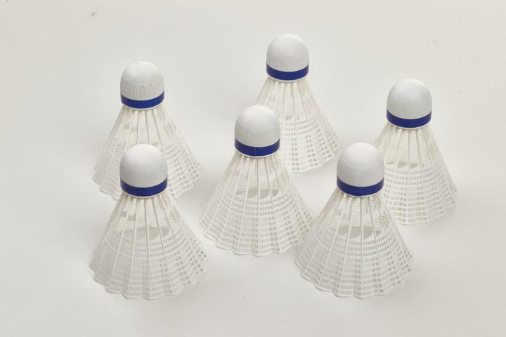 Actual product image Victor tube of 6 badminton shuttlecocks nylon 500