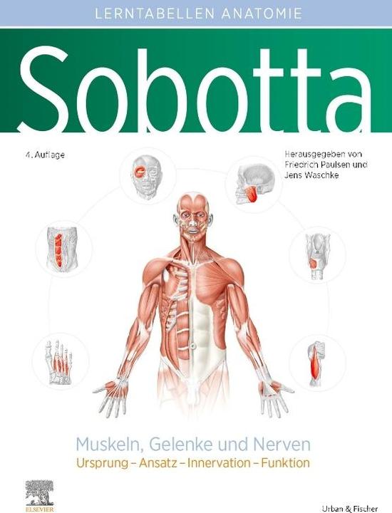 Actual product image Sobotta Lerntabellen Anatomie Muskeln, Gelenke und Nerven (German, Jens Waschke, Friedrich Paulsen, 2022)