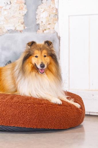 Actual product image Designed by Lotte Ribbed divan bed (Dog)