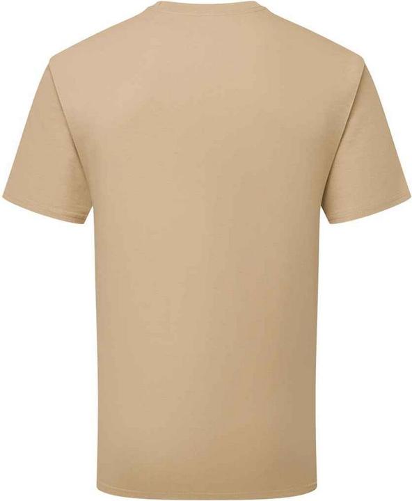 Actual product image Russell Unisex Adult Super Ringspun Cotton Classic T-Shirt (L)