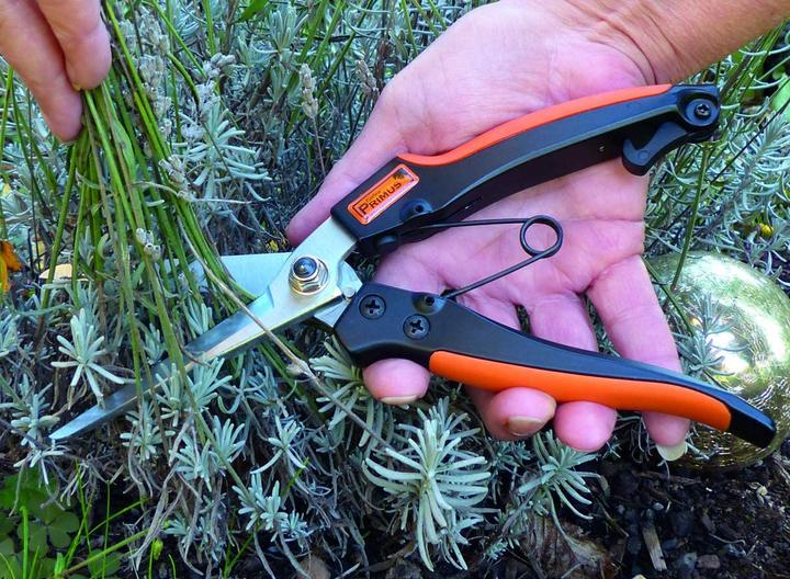 Produktbild Garten Primus Stauden- Kräuterschere